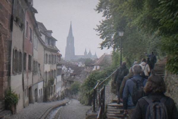 2-Hour Sightseeing and History Walk, Freiburg