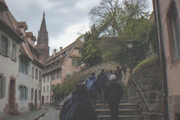 60-Minute Express Walk, Freiburg