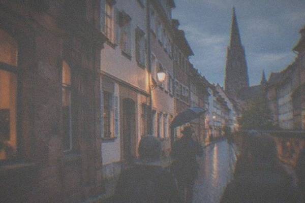 Private 2-Hour Walk, Local Guide, Freiburg