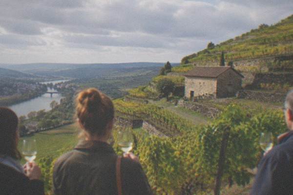 2-Hour Regional Wine Tour, Freiburg