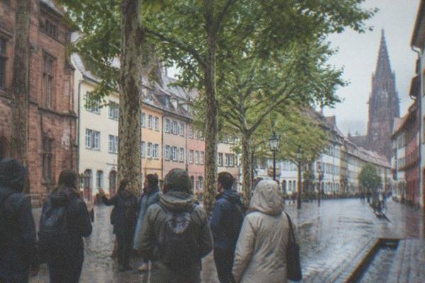 2-Hour Historic Center Stroll, Freiburg