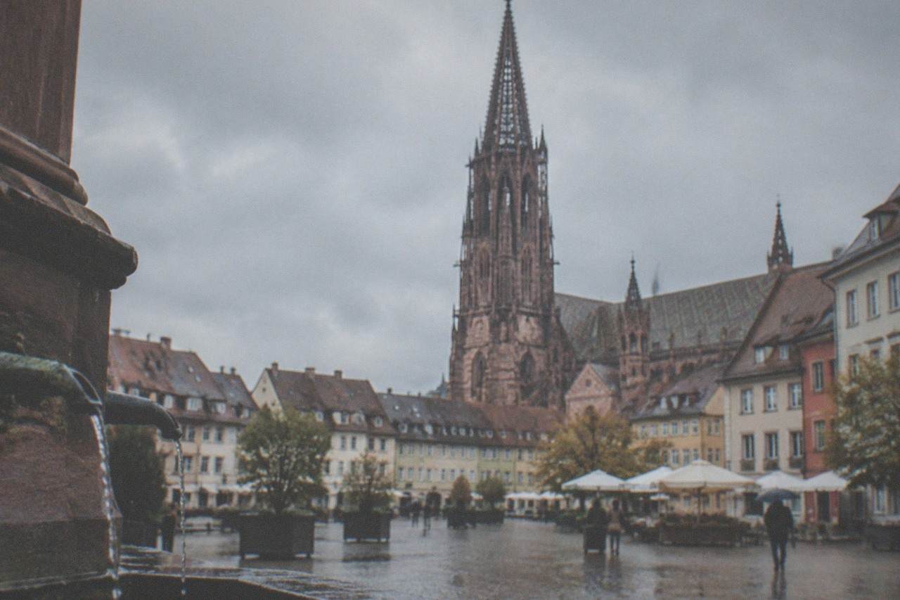 Freiburg im Breisgau old town rooftops with the Gothic cathedral tower rising above the houses