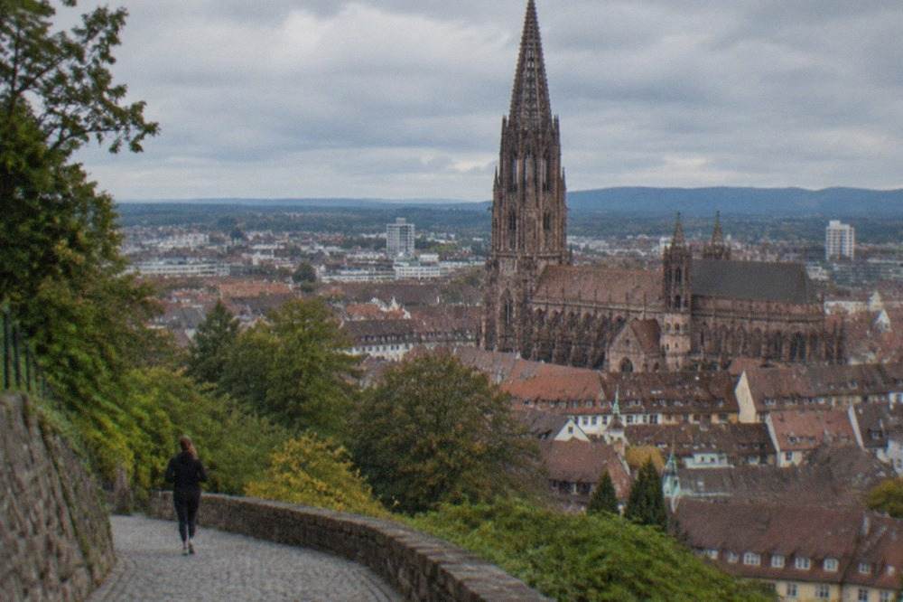 The red rooftops of Freiburg Old Town seen from a hillside with the Münster tower in the middle distance