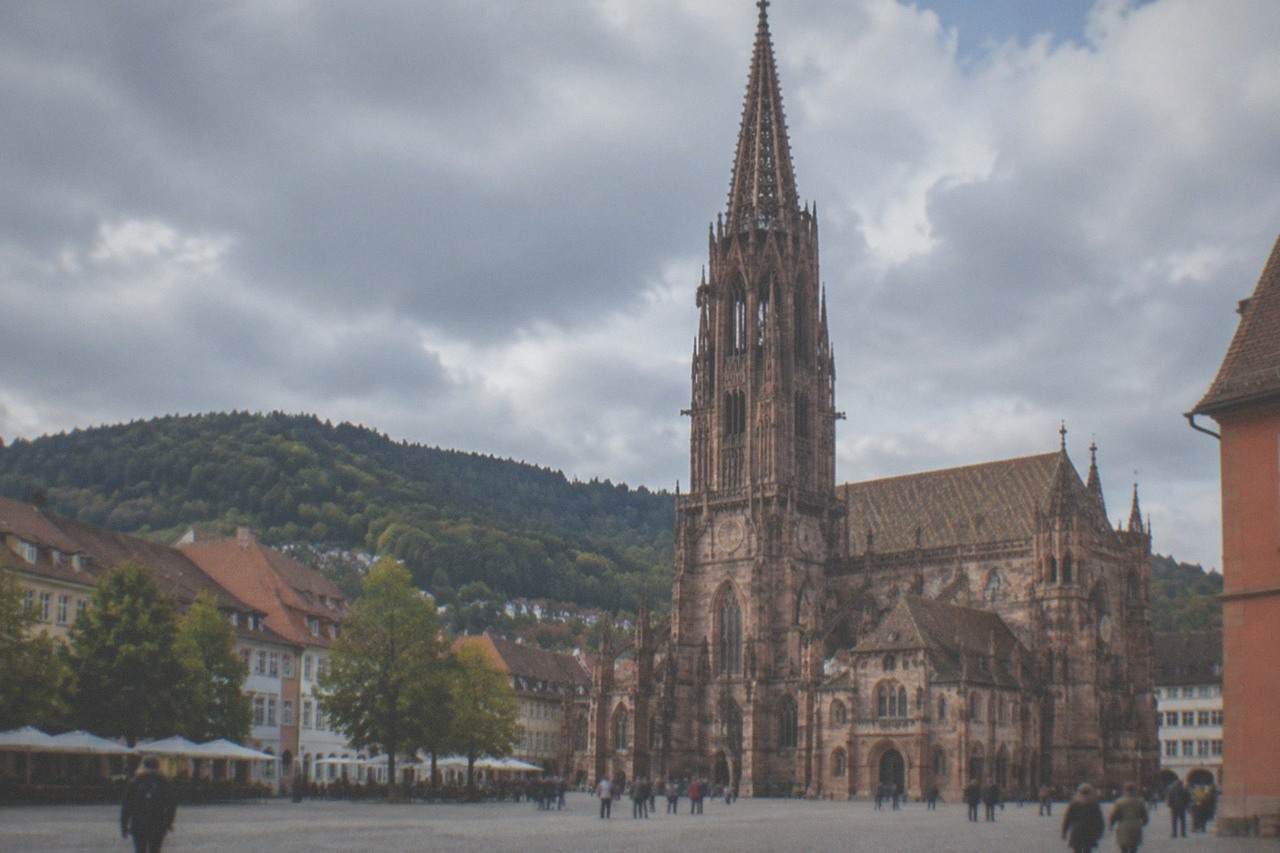 Rooftops and the Münster tower of Freiburg with forested Black Forest hills rising behind the city