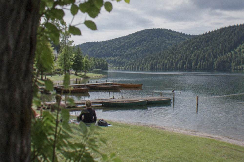 Grassy lake shore with a roped bathing area and calm water reflecting wooded hills