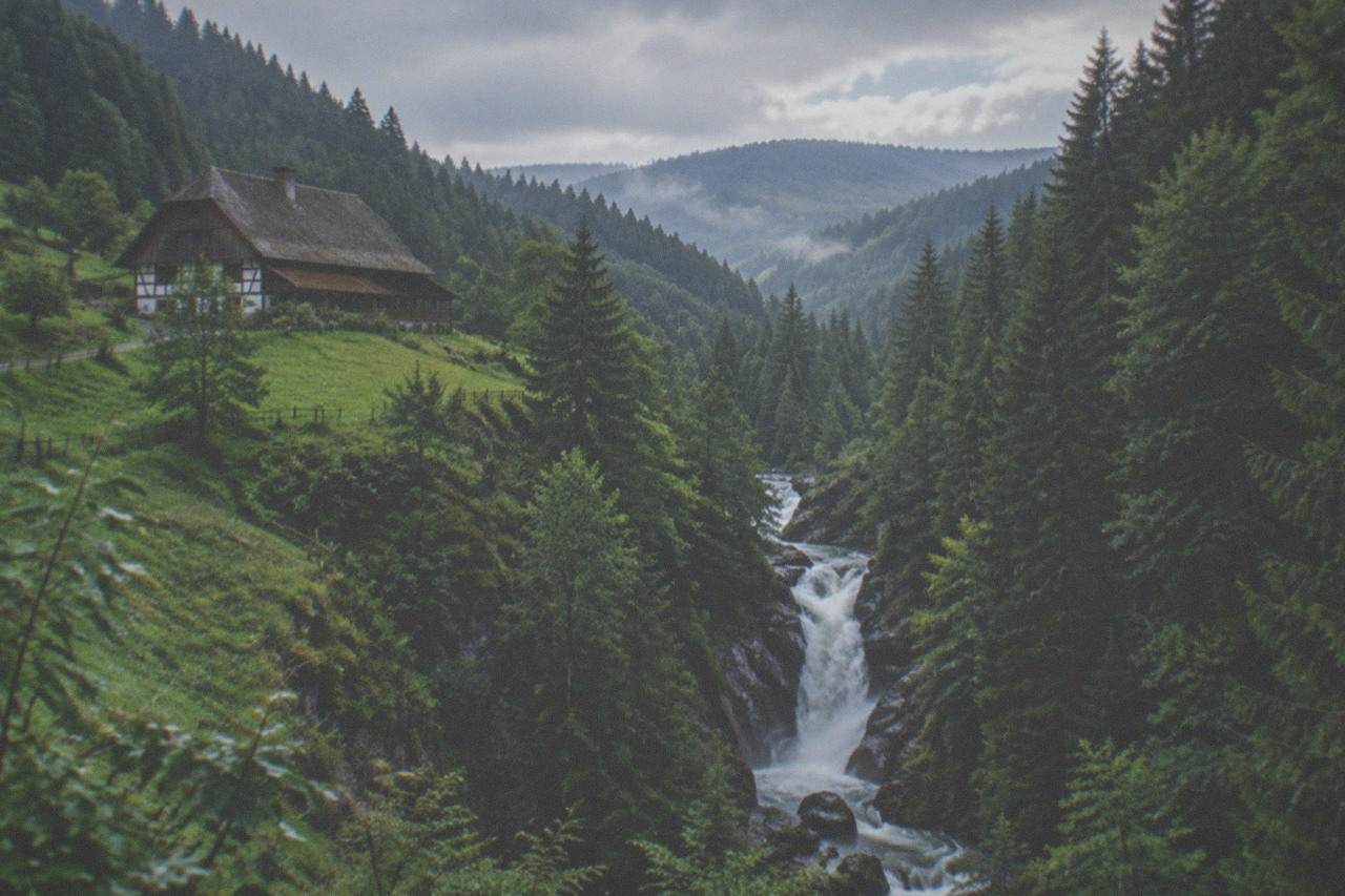 A wooded gorge in the Black Forest with a waterfall dropping between dark fir trees