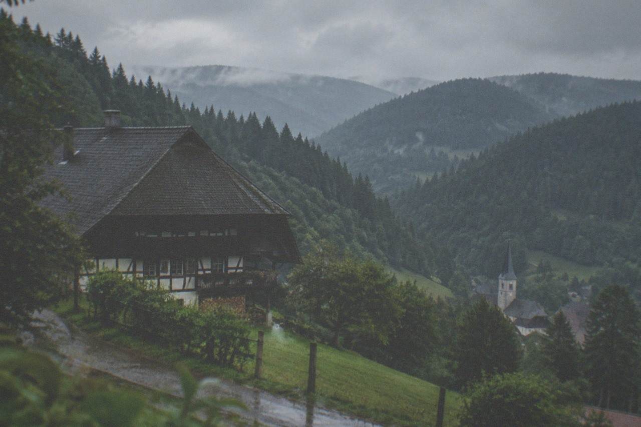 Dense fir forest covering rolling hills with a small village church tower in a valley below