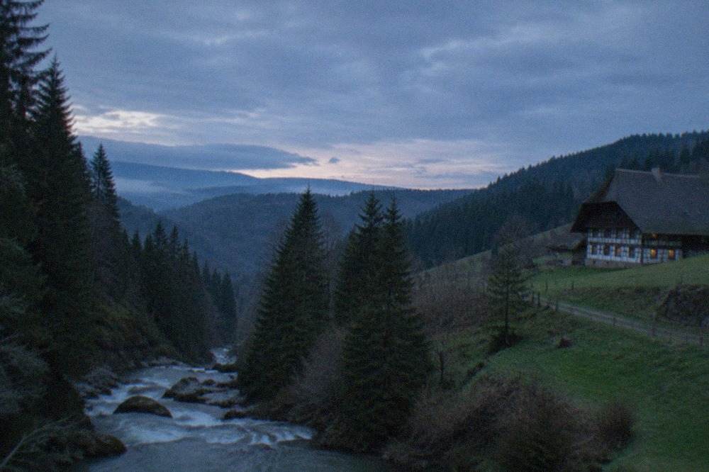 A mountain stream rushing over rocks beneath fir trees in a Black Forest gorge