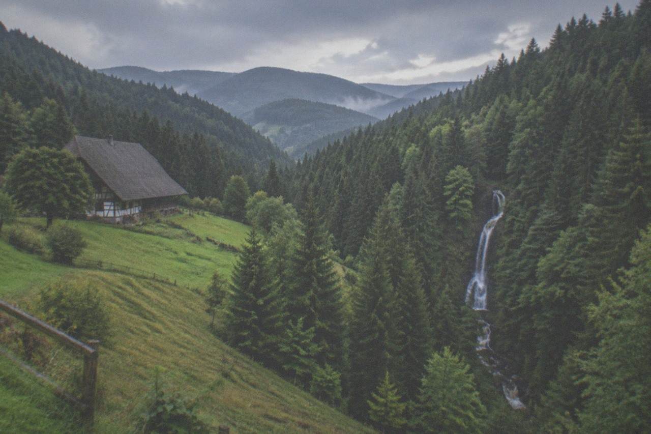 A narrow waterfall dropping through dense fir forest in the Black Forest