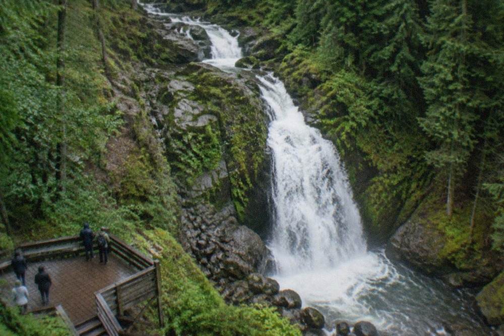 Water dropping in several steps through a narrow forest gorge with mossy rocks.