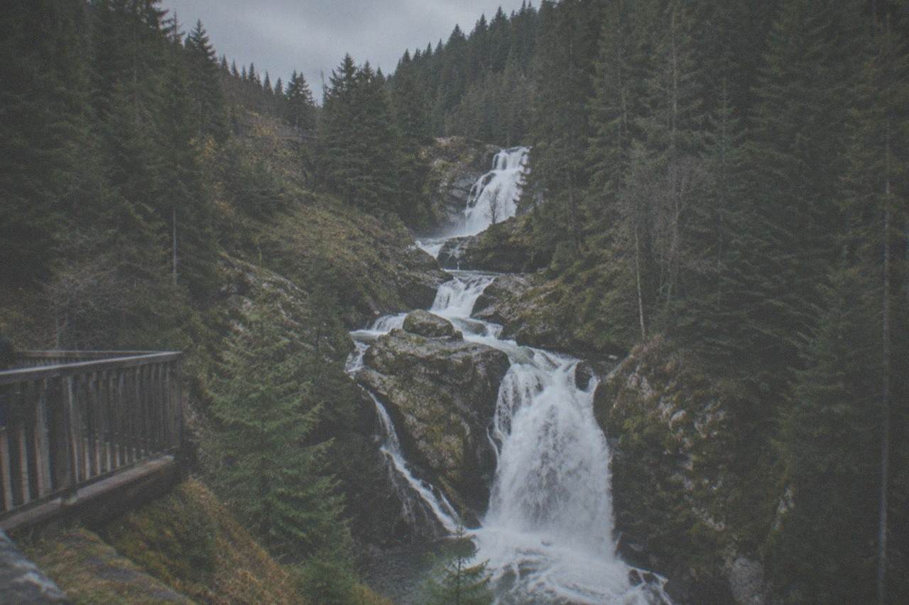 A series of waterfalls cascading down a rocky wooded gorge surrounded by tall fir trees.
