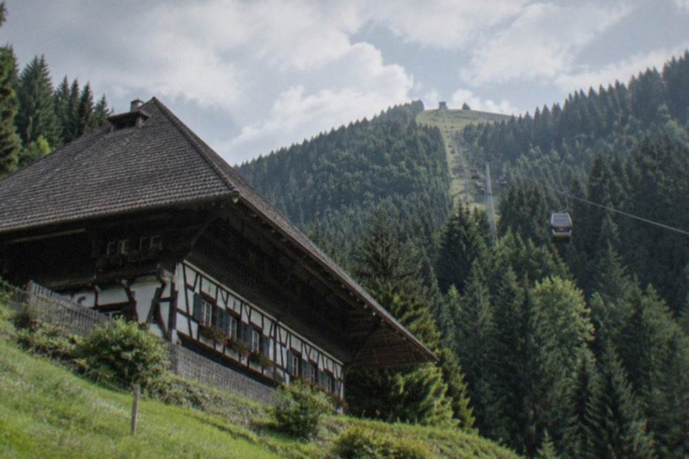 Cable car cabins travelling up a steep forested mountainside toward an open summit
