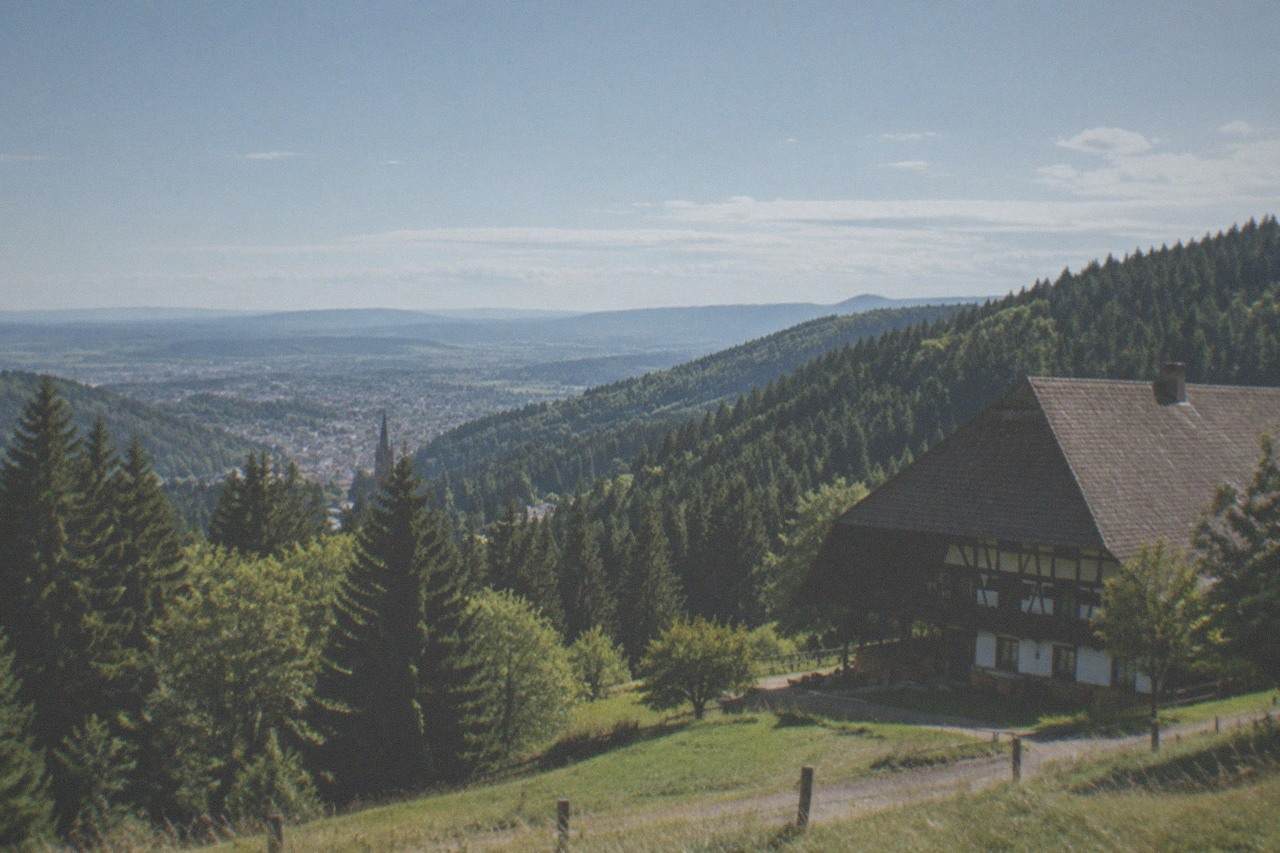 Wooded Black Forest hills rising above Freiburg rooftops under a clear sky