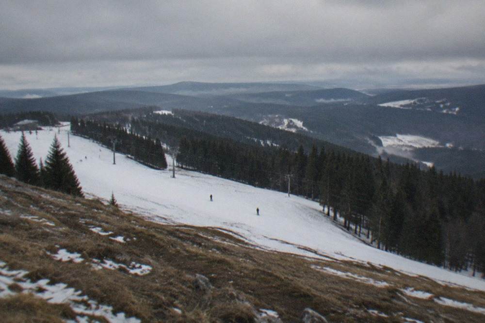 Wide gentle white ski slope with forest edge and small lift pylons under winter light