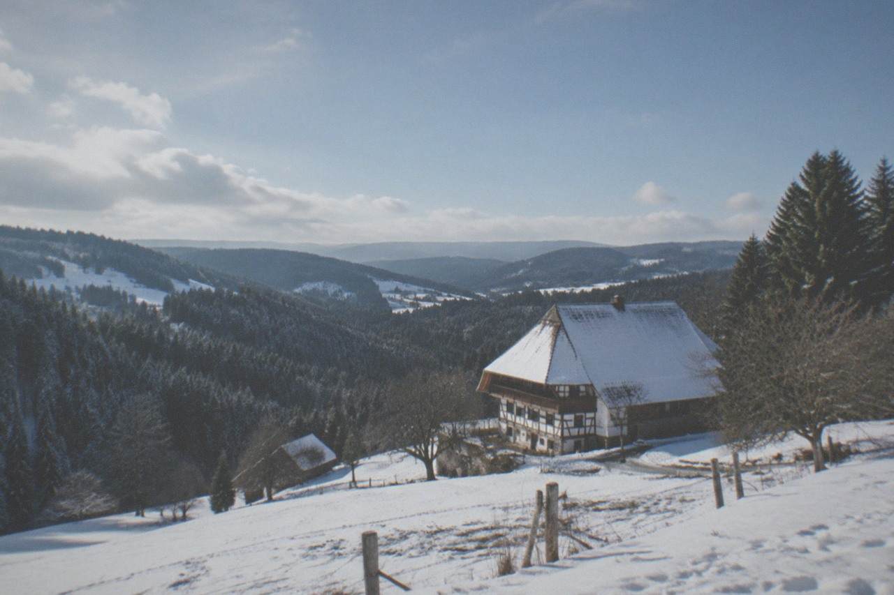 Snow-covered rolling mountain pastures under a clear winter sky in the Black Forest