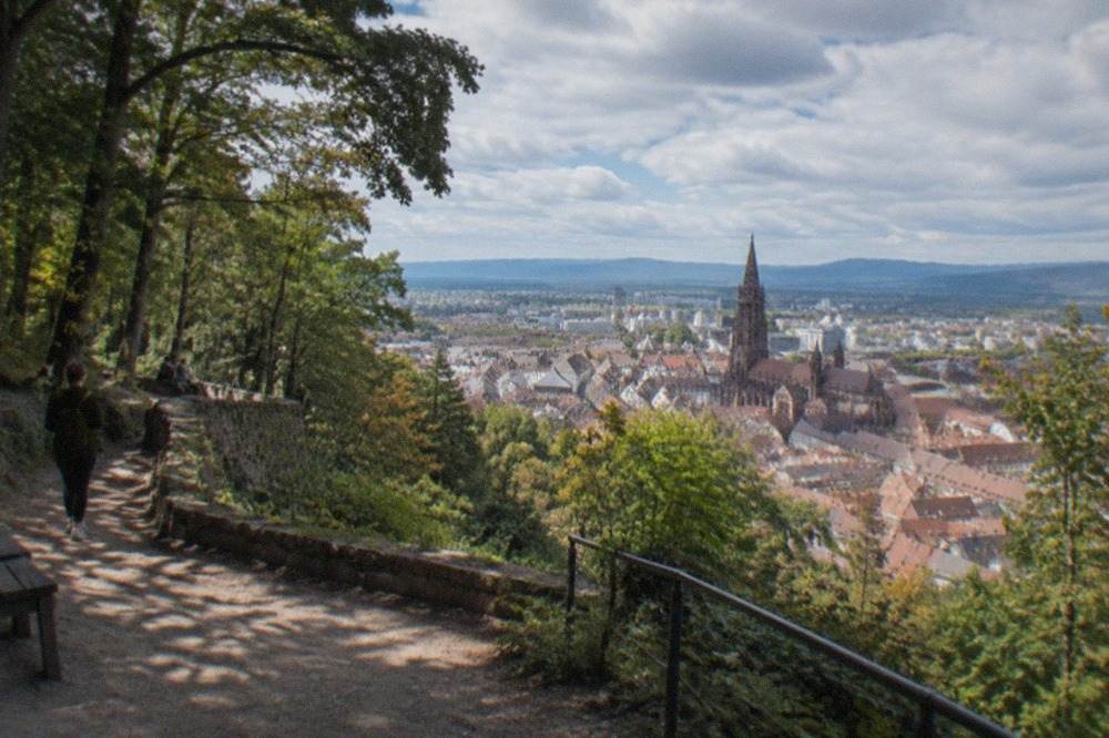 Sunlit rooftops and the Minster tower above Freiburg's old town on a clear day