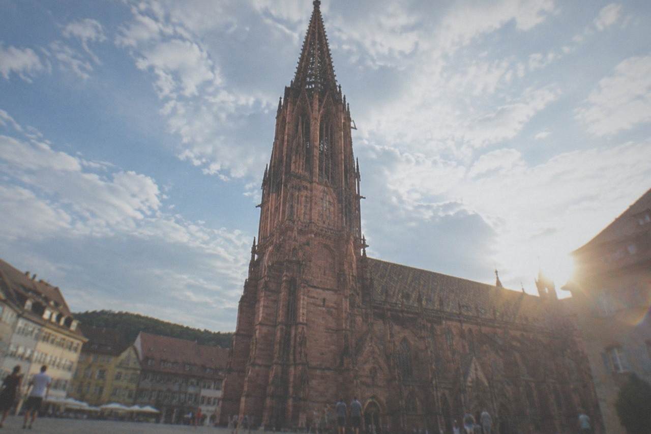 Sunlit rooftops and the Freiburg Minster tower above the old town on a clear summer day