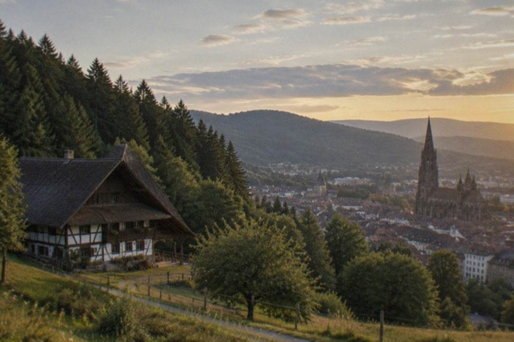 Freiburg Minster rising above old town roofs with green Black Forest hills on the horizon