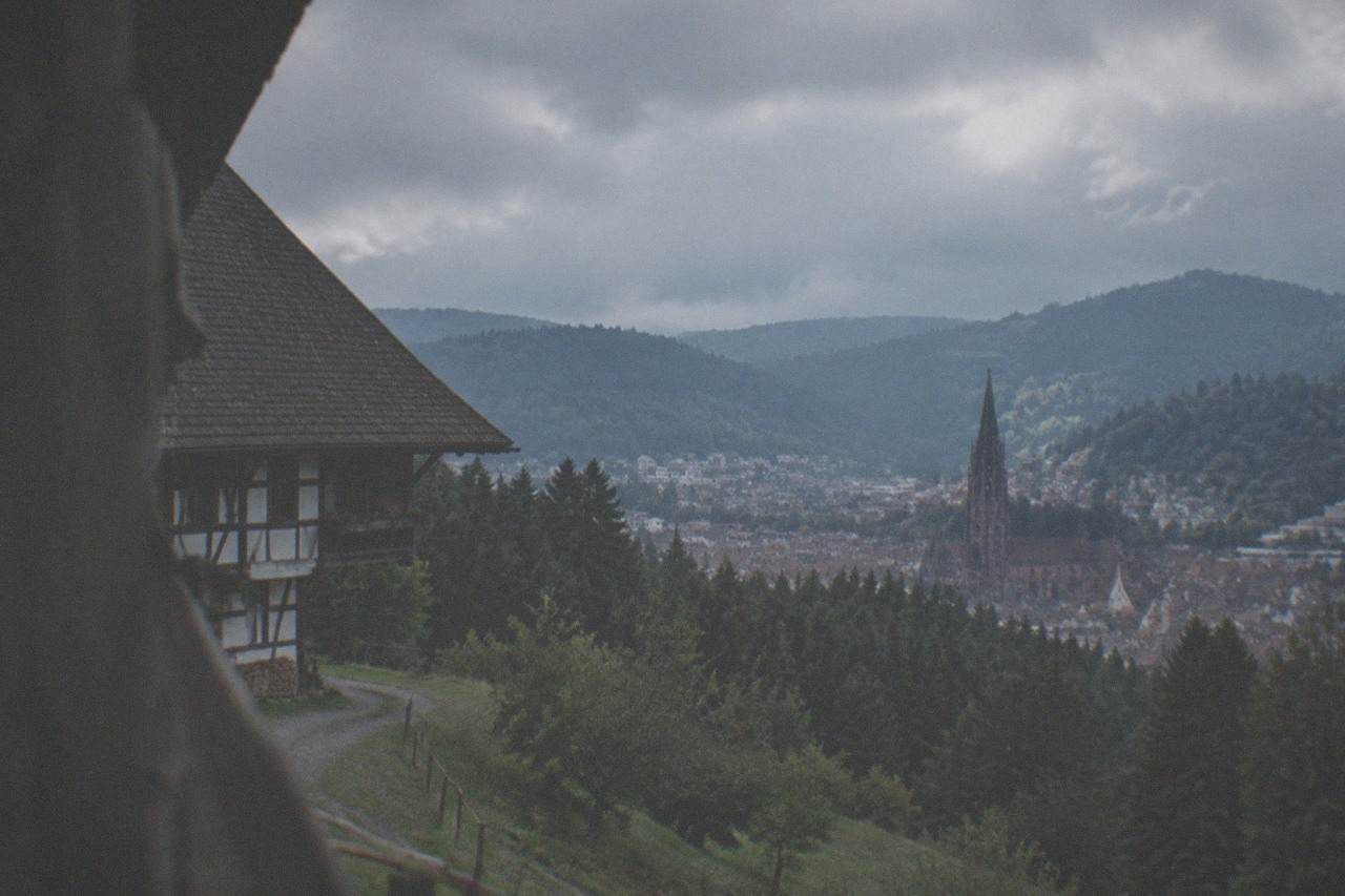 Freiburg Minster rising above old town roofs with green Black Forest hills on the horizon