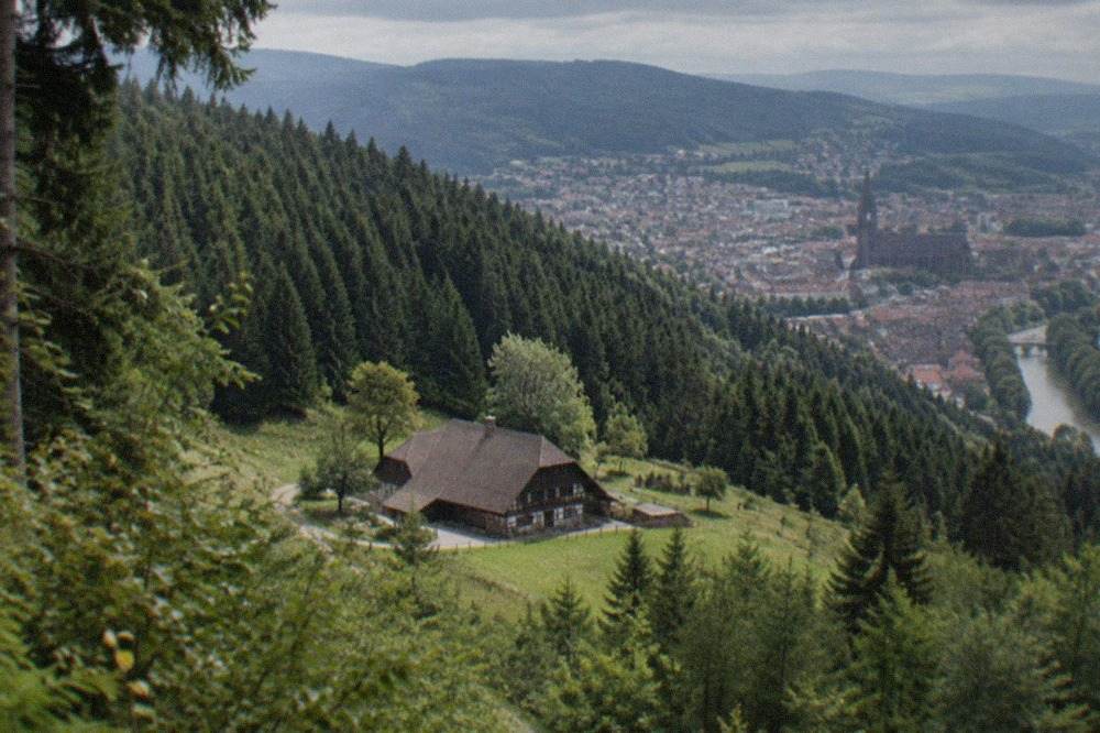 Old town rooftops seen from a wooded hillside above Freiburg