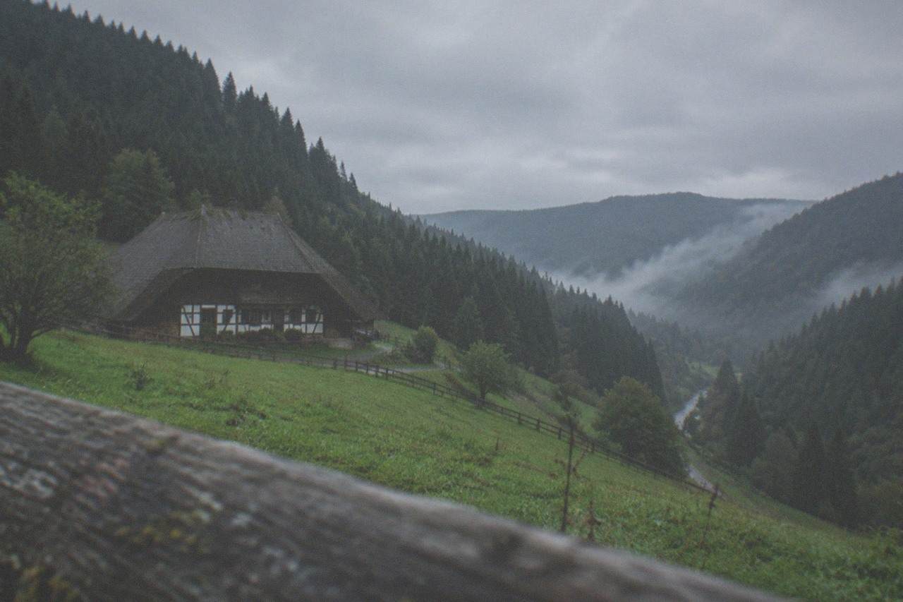 Dense forest slopes above a misty valley in the Black Forest