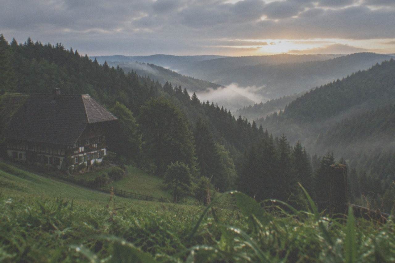 Forest-covered hills above a misty valley in the Black Forest at sunrise