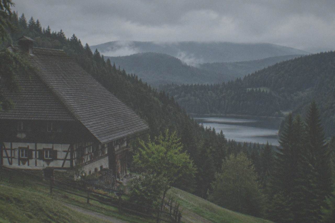 Forest-covered hills with a small lake and distant misty summits in the Black Forest