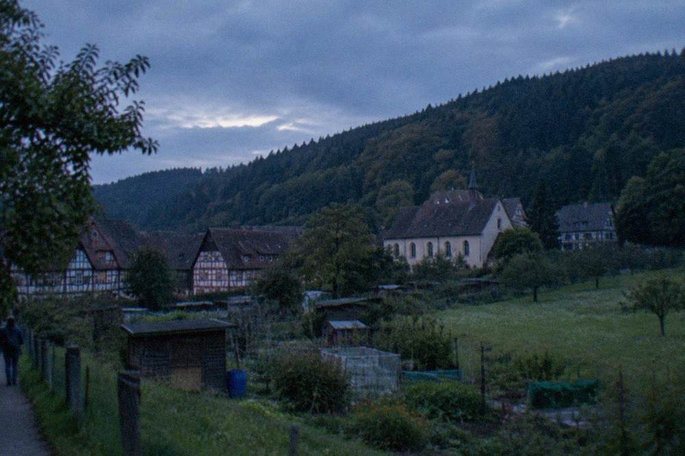 allotment gardens and meadows on the southern edge of Günterstal with wooded hillside behind
