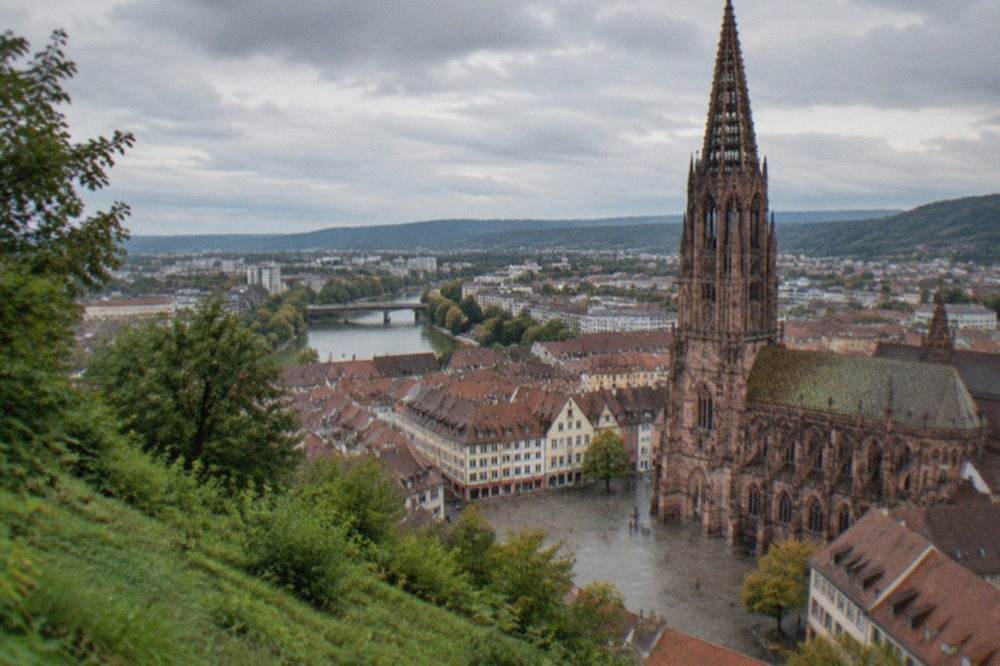 Red rooftops of Freiburg old town seen from a green hillside slope