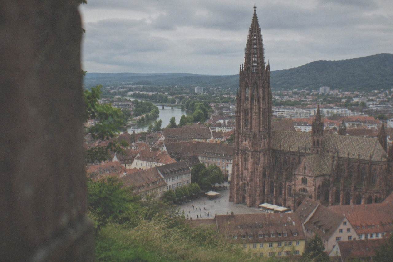 View over red rooftops of Freiburg old town from a grassy hillside slope
