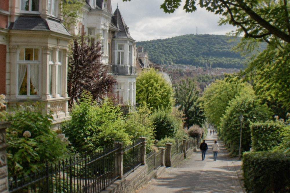 Tree-lined path leading toward a green hillside above Freiburg rooftops