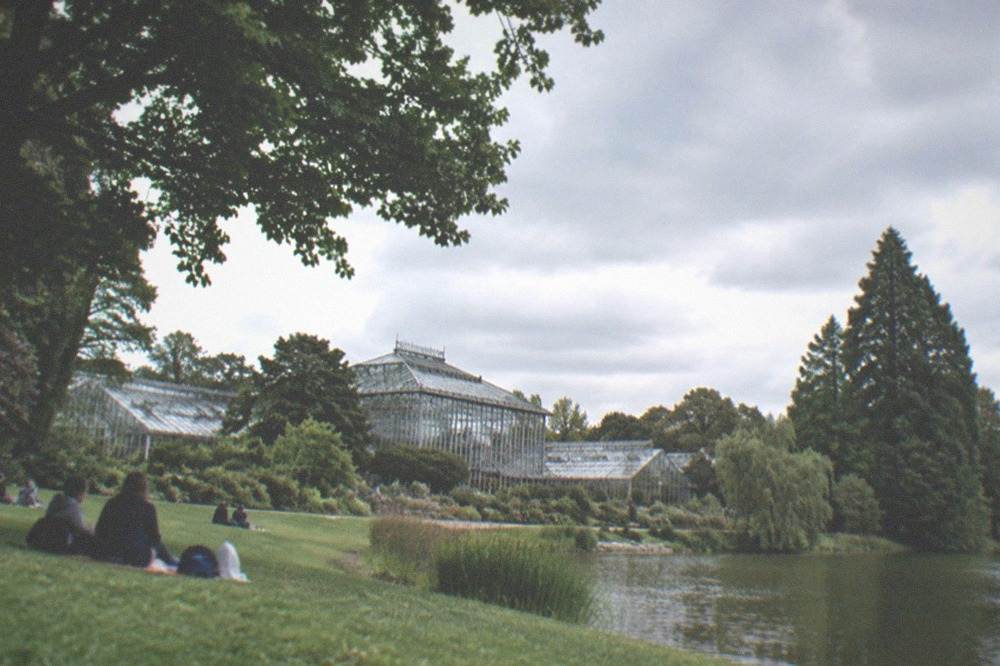Families relaxing on a wide lawn beside a small lake in a city park
