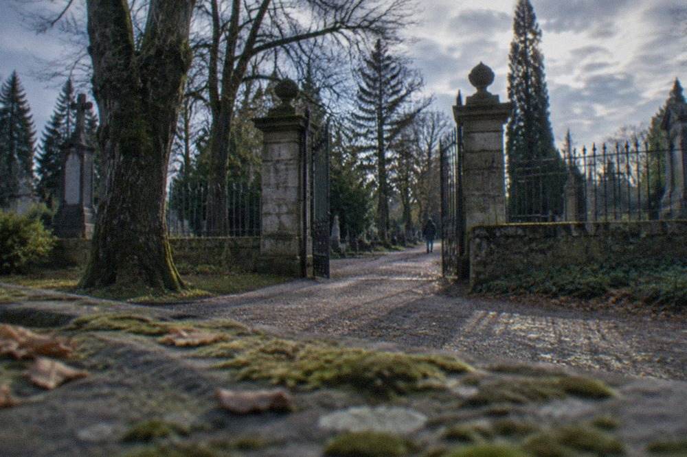 old stone cemetery gate with wrought iron fence and tall trees behind it