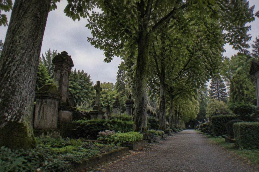 old graves along a gravel path under tall mature trees