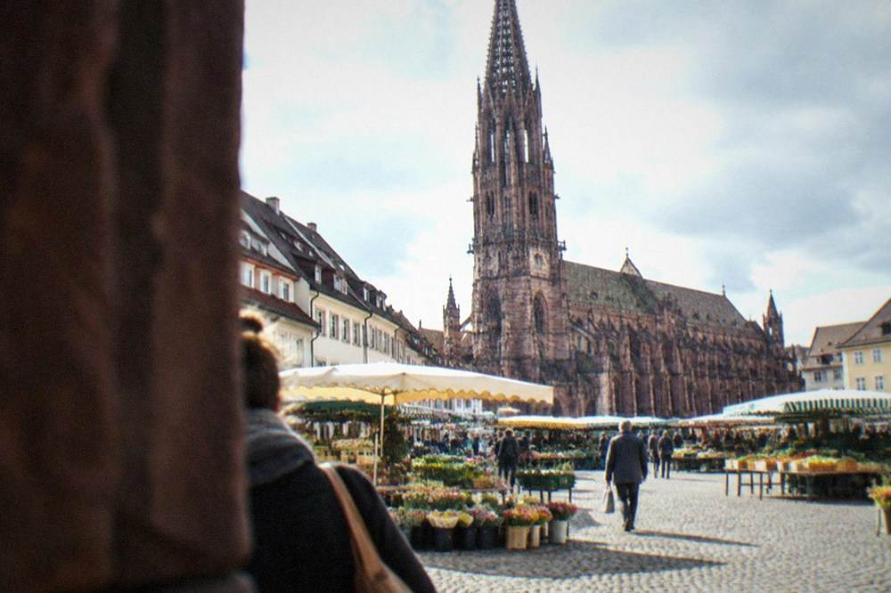 Market stalls with flowers and produce along the cathedral square in morning light