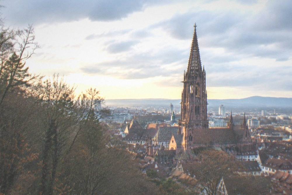 View of the cathedral tower and red rooftops from a wooded hillside at golden hour