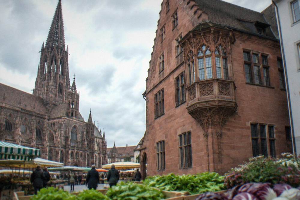 Market square with stalls in front of a Gothic cathedral on a bright morning