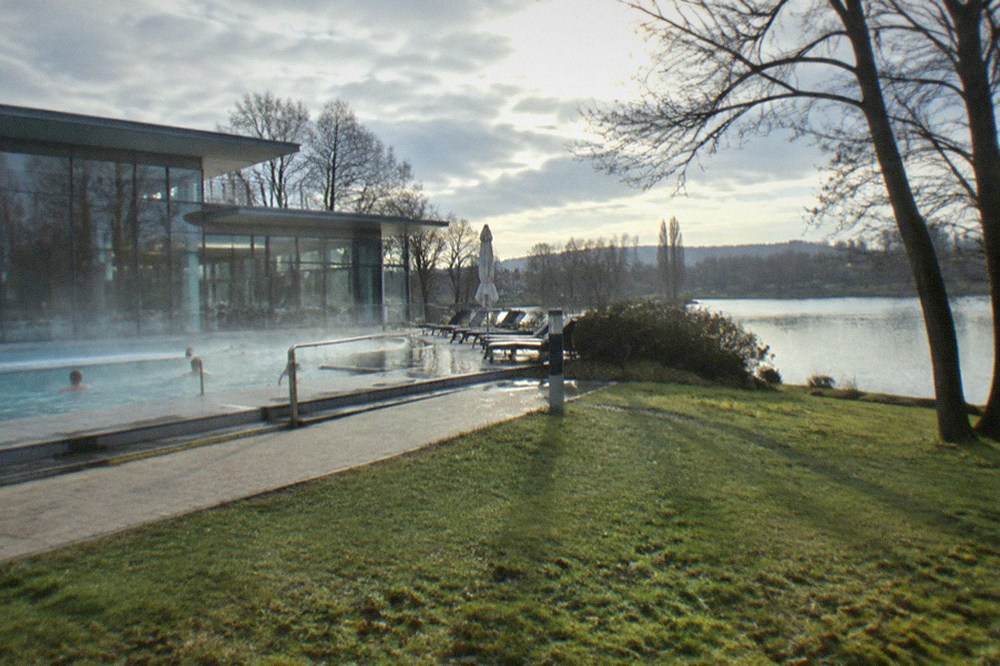 Quiet lakeside lawn in a park with trees and a view across still water