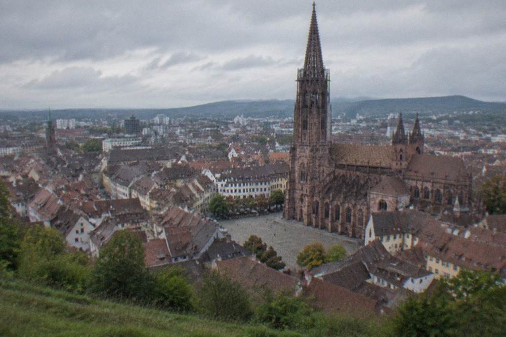 Panoramic view of Freiburg old town rooftops with the cathedral tower rising above, seen from a grassy hilltop