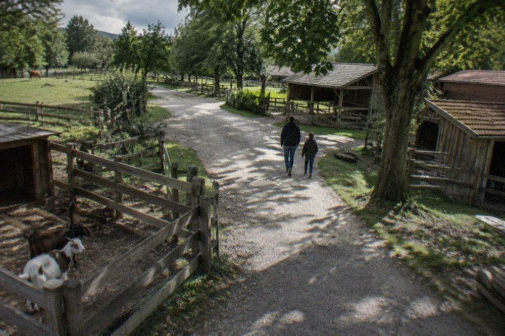 Gravel path winding between wooden animal enclosures under tall trees at Mundenhof
