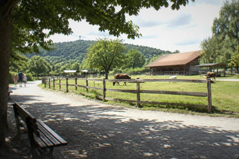 Family-friendly walking path at Mundenhof with wide gravel surface and shaded benches