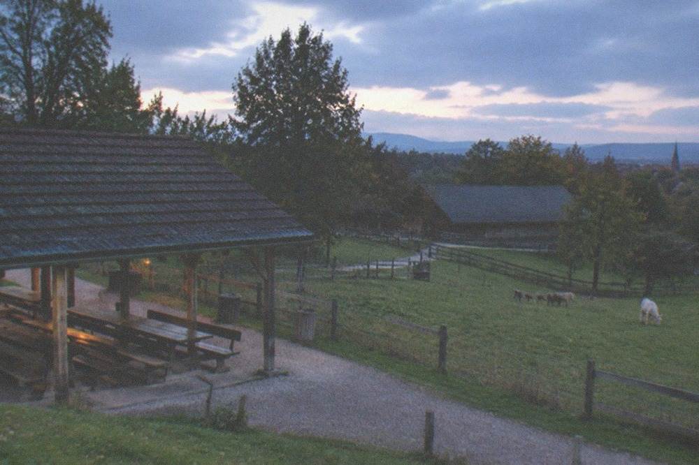 Covered wooden picnic shelter with long tables beside a park path at Mundenhof