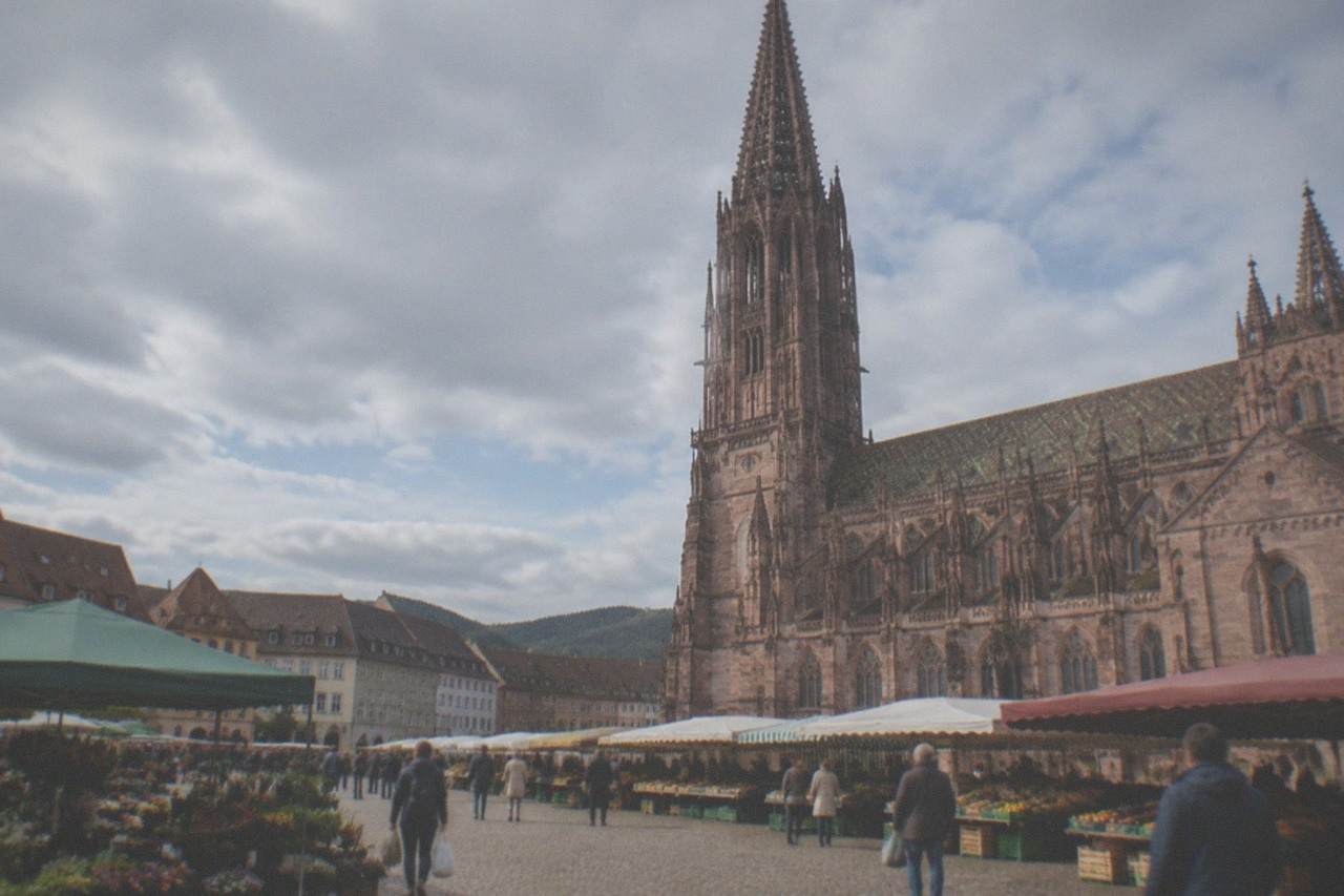 Market stalls lined up in front of the Freiburg Minster on a bright morning