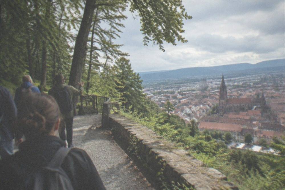Small group of walkers with a guide on a forested hilltop path above a historic city
