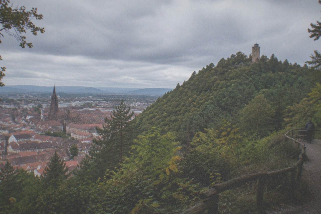 Wooded hillside rising above the red rooftops of Freiburg's old town with a stone lookout tower on the summit