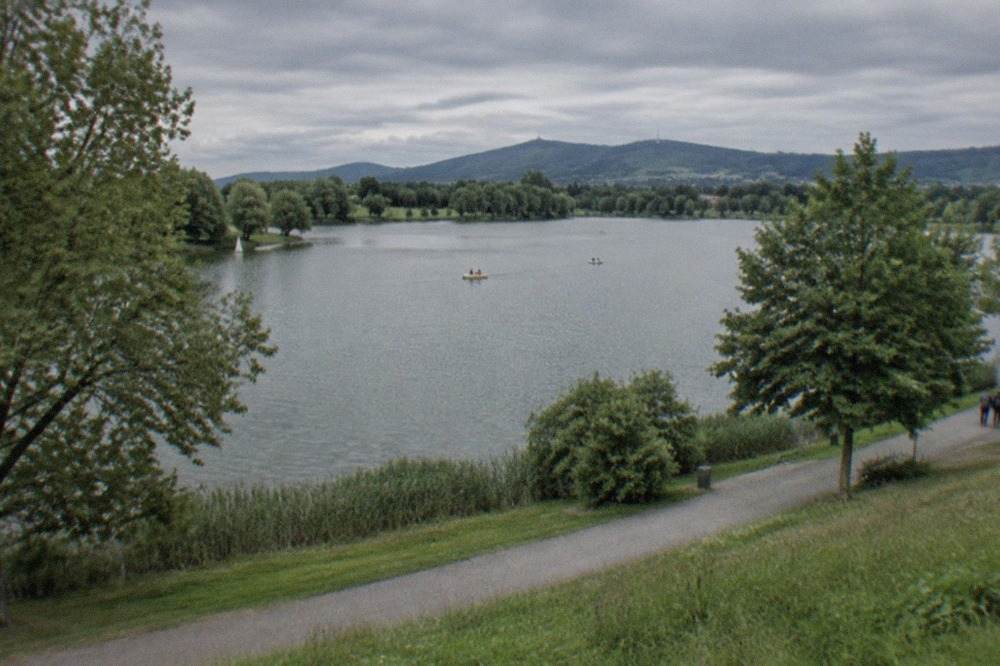 Flückiger See lake at the Seepark in Freiburg with reeds and trees along the shore
