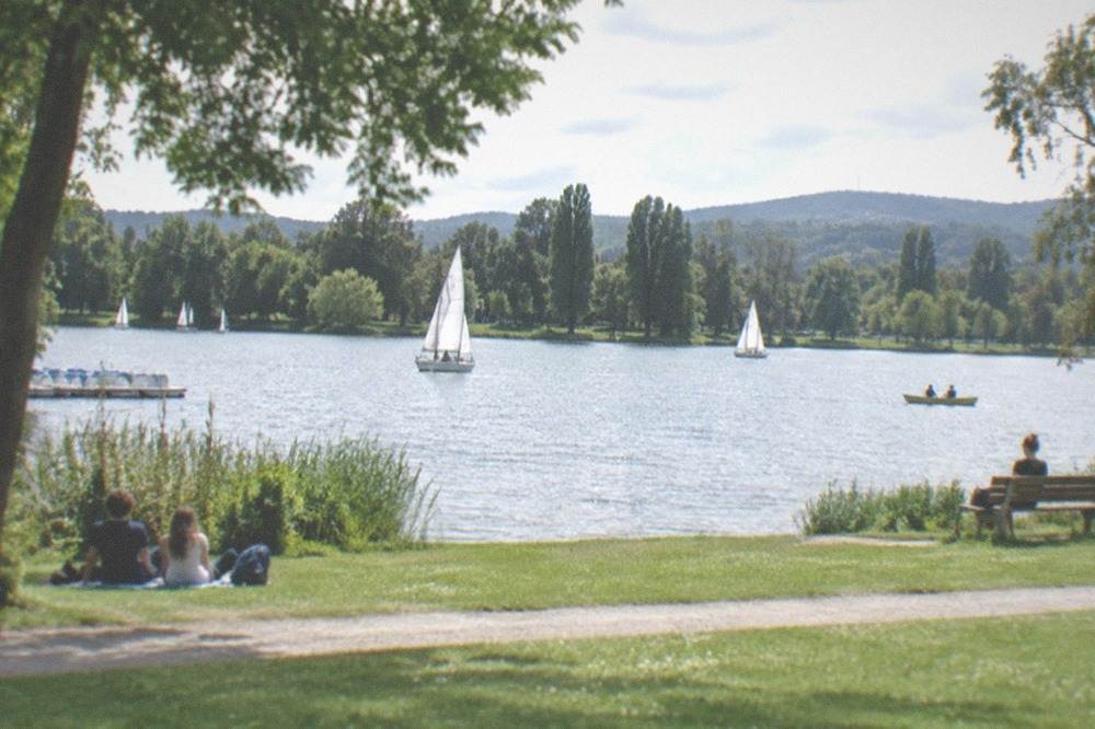 Green meadows and mature trees around the Seepark in Freiburg's Betzenhausen district
