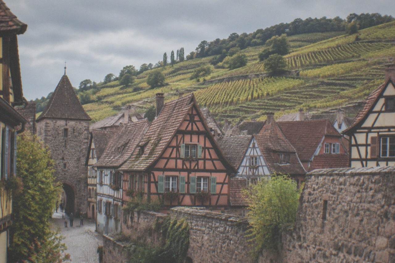 Vineyard rows on a hillside above a small Alsatian village with half-timbered houses