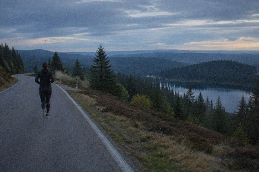 A curving ridge road with open moorland on one side and dense fir forest on the other.
