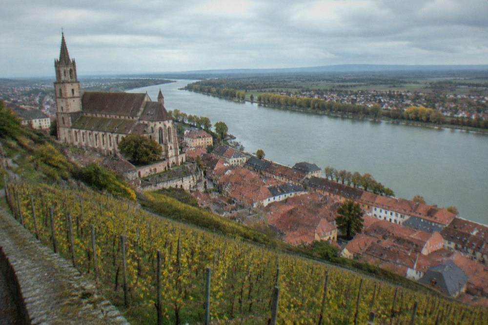 Rows of grapevines on a sunlit volcanic hillside with a small town and river plain in the distance